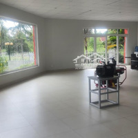Cho Thuê Văn Phòng Tại Đt 45, Cửa Dương, Phú Quốc, Kiên Giang, Giá Siêu Hời, Rộng 625M2