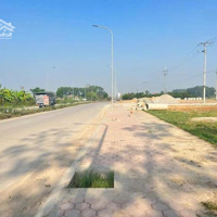 Lô Đất Đấu Giá Đẹp Nhất Bạch Đa, Vị Trí Vàng, Giá Đầu Tư Hấp Dẫn
