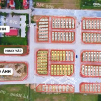 Lô Đất Đấu Giá Đẹp Nhất Bạch Đa, Vị Trí Vàng, Giá Đầu Tư Hấp Dẫn