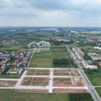 Lô Đất Đấu Giá Đẹp Nhất Bạch Đa, Vị Trí Vàng, Giá Đầu Tư Hấp Dẫn