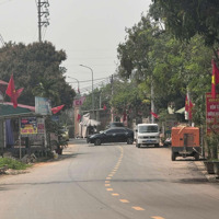 Bán Đất Tại Đường 446, Tiến Xuân, Thạch Thất, Hà Nội, 25 Triệu / M2, 228 M2, View Đẹp Hàng Hiếm