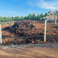 Bán Đất Nền Giá Rẻ Gần Quốc Lộ 20 Tại Xã Đinh Lạc Huyện Di Linh