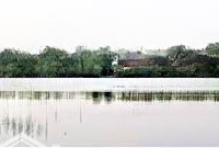 Bán Lô Đất Mặt Hồ Cổ Lễ - Hoàng Quế, Đông Triều, Quảng Ninh