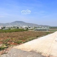 Bán Đất Trung Tâm Xã Liên Hiệp,Diện Tích5X34, Cn 170M2 Thổ Cư, Đường 5M Giá Bán 920 Triệu