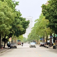 Bán Đất Giang Biên, Đường Phân Lô Ô Tô Tránh