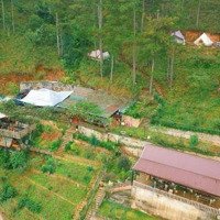 Bán Gấp Khu Du Lịch Sinh Thái Độc Nhất Tại Đà Lạt Đầu Tư Sinh Lời Vượt Trội. Có Thương Lượng!