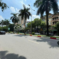 Mặt Phố Nguyễn Khuyến - Kinh Doanh Sầm Uất Mặt Tiền To - Dòng Tiền 50 Triệu/Tháng