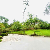 Lô Đất Siêu Đẹp Tại Xã Yên Bình 305M Đường To Xe Cont Vào Tận Nơi, Trước Mặt Là Hồ Thoáng