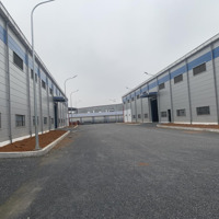 Cho Thuê Kho, Nhà Xưởng 3000M2 Tại Xã Hoàng Xá, Thanh Thủy, Phú Thọ, Giá Ưu Đãi 60 Nghìn / M2