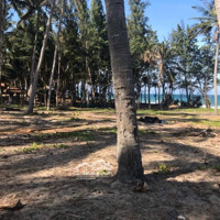 Siêu Phẩm Đất Mặt Biển.
Tổng Diện Tích Đất 3566M2, Có 150M2 Đất Thổ Cư Và 1000M2 Đất Tmdv.