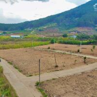 Cần bán Đất Giá 620 Triệu Xã Gia Lâm Lâm Hà Diện tích 130m² Có Sẵn Thổ Cư