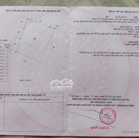 Mt Đường Rừng Sác Cần Giờ (Đường Song Hành) 4217M2, Cách Ubnd Xã Bình Khánh 600M (Khu Trung Tâm)