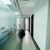 Bán Gấp Building 3 Mặt Tiền Cộng Hoà, Dt: 13X30M, 1 Hầm 8 Tầng, Hdt: 300 Triệu, Giá: 100 Tỷ Chốt.