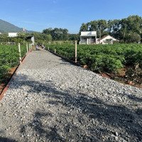 Bán Đất Tại Xuân Trường, Đồng Nai Ngang 6M Dài 27M Full Thổ 620 Triệu, 158M2 View Núi Gia Lào