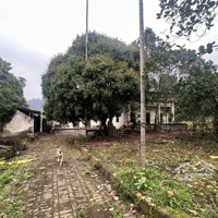 Bán Đất Đẹp 2960M ,Khu Sinh Thái Sóc Sơn Hà Nội