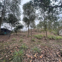 Bán Đất Đẹp 2960M ,Khu Sinh Thái Sóc Sơn Hà Nội
