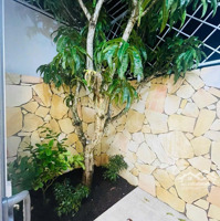 Nhà Đẹp Thiết Kế Phong Cách Sang Trọng Indochin Tại Khu Đô Thị Vcn Phước Long Có Sổ Nhà Vào Mê Ngay