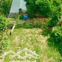 Chỉ 12 Tỷ Sở Hữu 1100M2 Đất Có 200M2 Thổ Cư Tại Xuân Linh Chương Mỹ Cực Hợp Làm Homestay, Sinh Thái