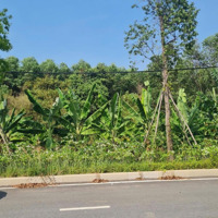 Cần Bán Miếng Đất Đẹp Đường Nhựa Đối Diện Dự Án Swanpark