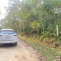 Bán Đất Tại Hợp Tiến, Kim Bôi, Hòa Bình, 1,8 Tỷ, 6900M2 Full Đất Vườn Đã Đăng Ký Lên Thổ Cư