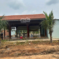 Chủ Cần Bán Căn Nhà Vườn An Điền Bến Cát, 20X75 Giá Bán 3.5 Tỷ