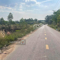 Bán Đất, Đường Liên Ấp 4-5, An Viễn, Trảng Bom, Đồng Nai, 2,65 Tỷ, 1100 M2