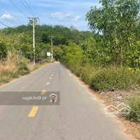Bán Đất, Đường Liên Ấp 4-5, An Viễn, Trảng Bom, Đồng Nai, 2,65 Tỷ, 1100 M2