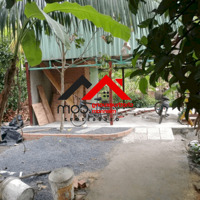CHO THUÊ ĐẤT VƯỜN SÂN VƯỜN TÂN AN – THỦ DẦU MỘT, BÌNH DƯƠNG  Làm sân vườn kinh doanh, nghỉ dưỡng cuối tuần, trồng rau, nuôi gà, homestay mini.Liên hệ: Chothuexuongmiennam.com - 0366632092