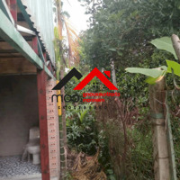 CHO THUÊ ĐẤT VƯỜN SÂN VƯỜN TÂN AN – THỦ DẦU MỘT, BÌNH DƯƠNG  Làm sân vườn kinh doanh, nghỉ dưỡng cuối tuần, trồng rau, nuôi gà, homestay mini.Liên hệ: Chothuexuongmiennam.com - 0366632092