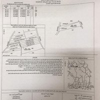 Chính Chủ Nhà Tôi Bán 1006M2 Tại Lộ 25, Huyện Thống Nhất, Tỉnh Đồng Nai