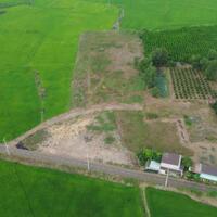 Bán 8.000m2 sẵn 420m tc sát đường Phạm Hùng Xã Phước Long Thọ ,Long Đất giá 8xxtr/sào