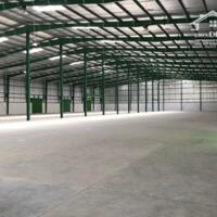 Cho Thuê 14.500m2 Kho Xưởng Mới 100% Tại Phú Giáo Bình Dương