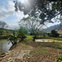 Bán Biệt Thự Vườn Nghỉ Dưỡng Giảm Sốc 15 Tỷ Có 14.500M Cạnh Đường Vành Đai 5 Liên Sơn, Lương Sơn