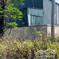 Chuyển Nhượng 3000M2 Đất Cn Trong Kcn Văn Lâm, Hưng Yên