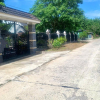 Đất Ngay Cạnh Khu Công Nghiệp Mình Hưng Chơn Thành Bình Phước