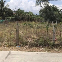 Bán Gấp Đất Nền 524M2 Tại Ninh Trung, Ninh Hòa, Khánh Hòa, Giá Bán 1,4 Tỷ