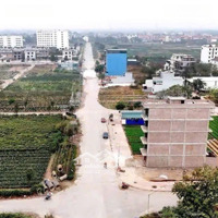 Bán Gấp Bt Tại Cienco 5 Mê Linh, 61 Triệu / M2, 100M2