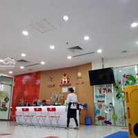 Cho Thuê Biệt Thự Sân Vườn Mặt Phố Ngô Thì Nhậm, 230M² X 3T,Mặt Tiền8M, Phù Hợp Mọi Mô Hình Kinh Doanh