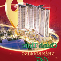 Bán Căn Hộ Chung Cư 1 Phòng Ngủ 1 Vệ Sinhtại Vic Grand Square, 1,3 Tỷ, 35M2, Gia Cẩm, Việt Trì, Phú Thọ