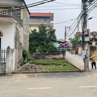 Chính Chủ Gửi Bán Lô Đất Góc Đường Nhựa Cực Đẹp Tại Thôn Phúc Thụy, Tân Ước, Thanh Oai