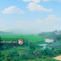 Chính Chủ Gửi Bán 1622,7M Tc 200M View Cánh Đồng Duy Nhất Còn Sót Lại Tại Hợp Hòa Lương Sơn