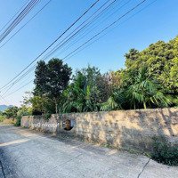 Bán Đất Giá Rẻ Chỉ 600 Triệu 111M Full Thổ Cư Thanh Sơn, Lương Sơn, Hòa Bình