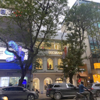 Cho Thuê Nhà Mặt Phố Nguyễn Đình Thi, Mặt Tiền Khủng 10M, Quá Đẹp Để Kinh Doanh Cafe