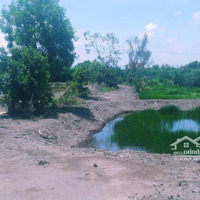 Cần Bán 70Ha Đất Lý Nhơn Cần Giờ Giá Tốt