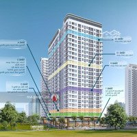 Bán Căn Hộ Chung Cư Đồi Ben Ben Hill Tại Đường Thuận Giao 25, Thuận An Chỉ 26 Triệu/M2