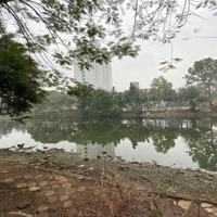 Cần Bán Nhà View Mặt Hồ Tây 77M2, 50 Tỷ Phố Từ Hoa, Quảng An, Tây Hồ, Hà Nội, Giá Siêu Hời