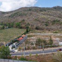 Bán Gấp Lô Đất Mặt Tiền Nhựa Phước Hưng Phước Hải, H. Long Điền Giá Chỉ 1,5 Tỷ