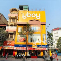 Cho Thuê Nhà Mặt Phố Quang Trung, Hàng Hiếm Tại Hà Đông, Với Mặt Tiền: 8M, Diện Tích: 240M2/Sàn