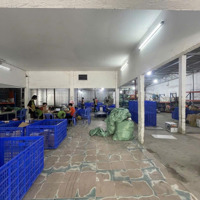 Cho Thuê Kho Bãi Quận 7Diện Tích800M2 Miễn Phí Dv Tại Bùi Văn Ba