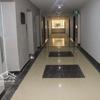 Bán Gấp Chung Cư 4 Phòng Ngủ Rộng, 135M2 Tại Khu Đô Thị Mới Resco, 7,2 Tỷ, Bắc Từ Liêm, Hà Nội